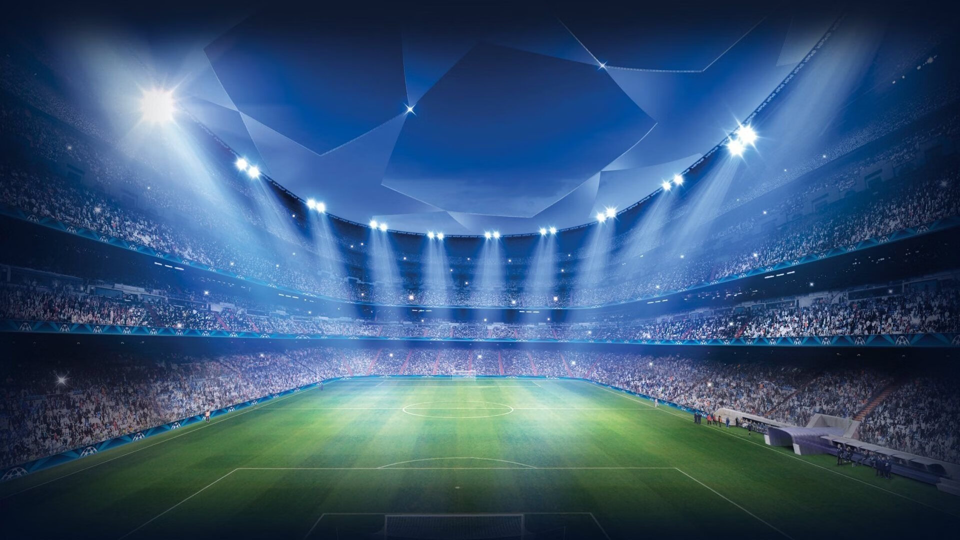 北境之王与樱花战士，多伦多硬地上的两种征服